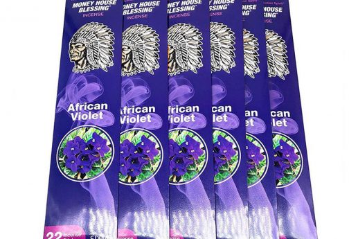 discount-boys-indian-spirit-money-house-blessing-african-violet